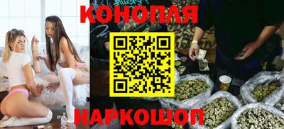 тгк Обь