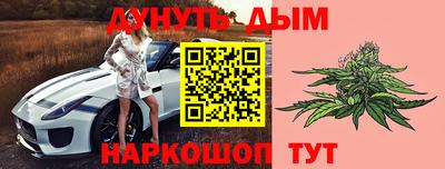 тгк Обь
