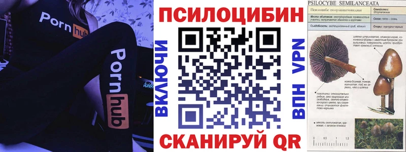 Галлюциногенные грибы мухоморы  Саянск 