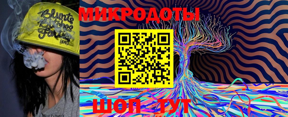 Галлюциногенные грибы Psilocybe Саянск